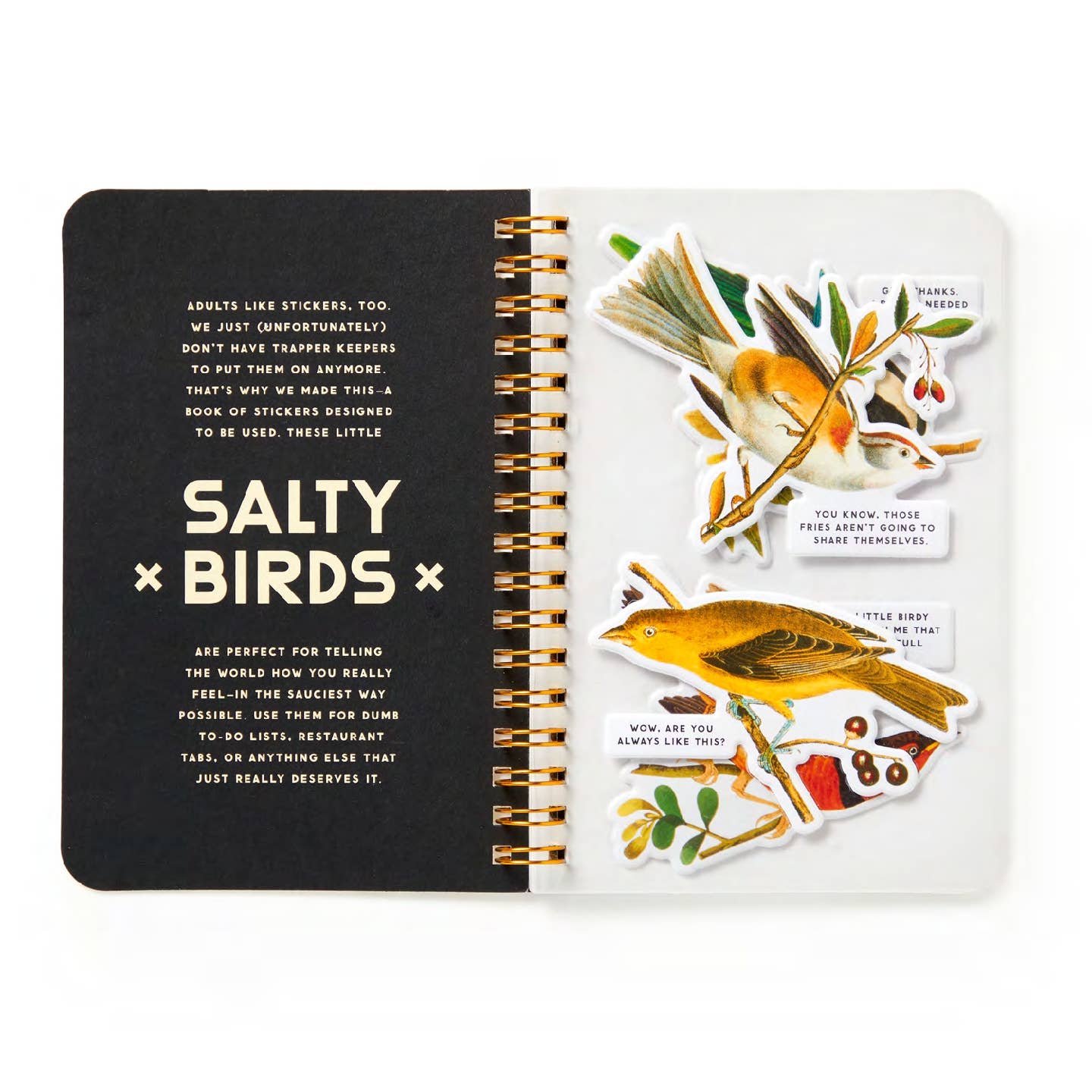 Salty Birds Sticker Book - Out of the Blue