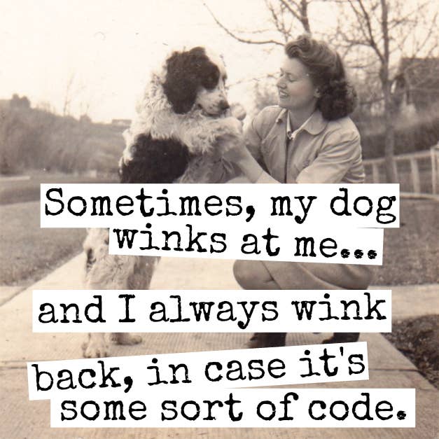 Fridge Magnet. Sometimes, My Dog Winks At Me...