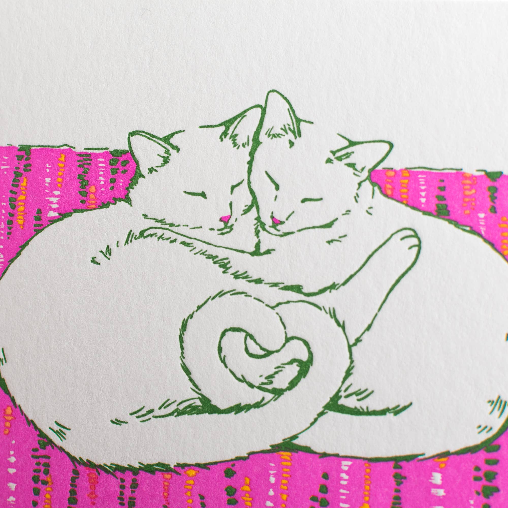 Colour Your Cats - Love Interactive Greeting Card - Out of the Blue