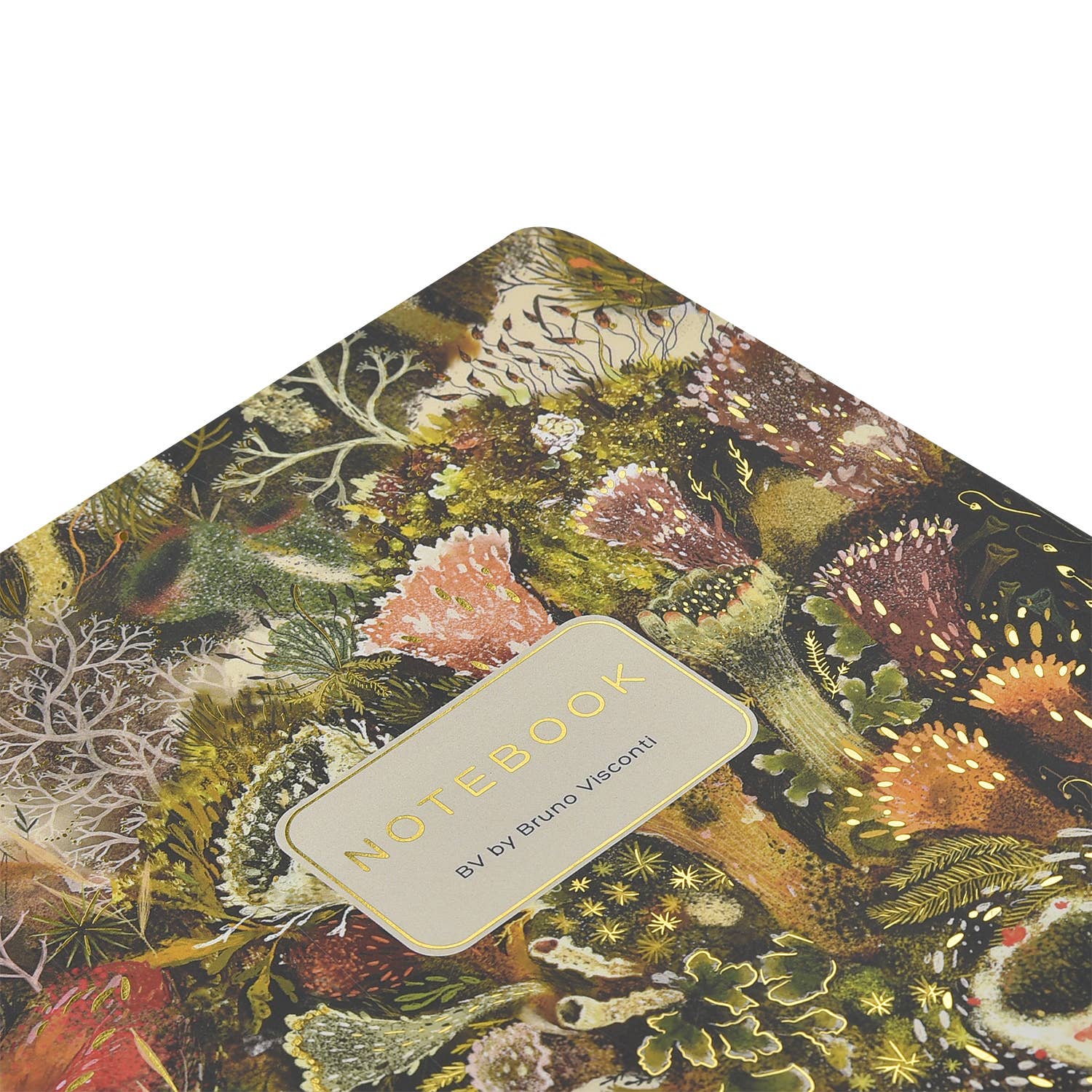 Forest Floor  - Out of the Blue