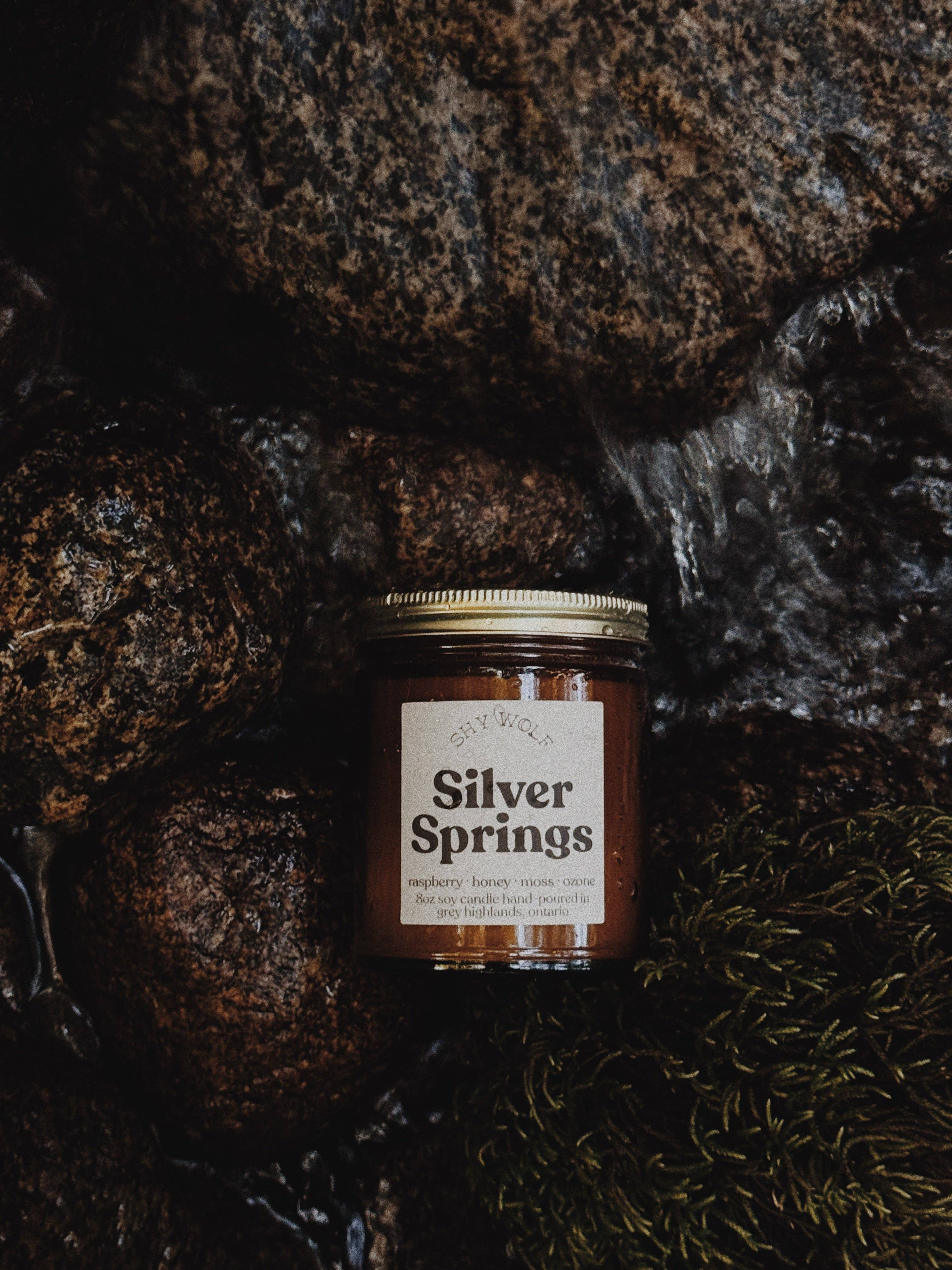 Silver Springs