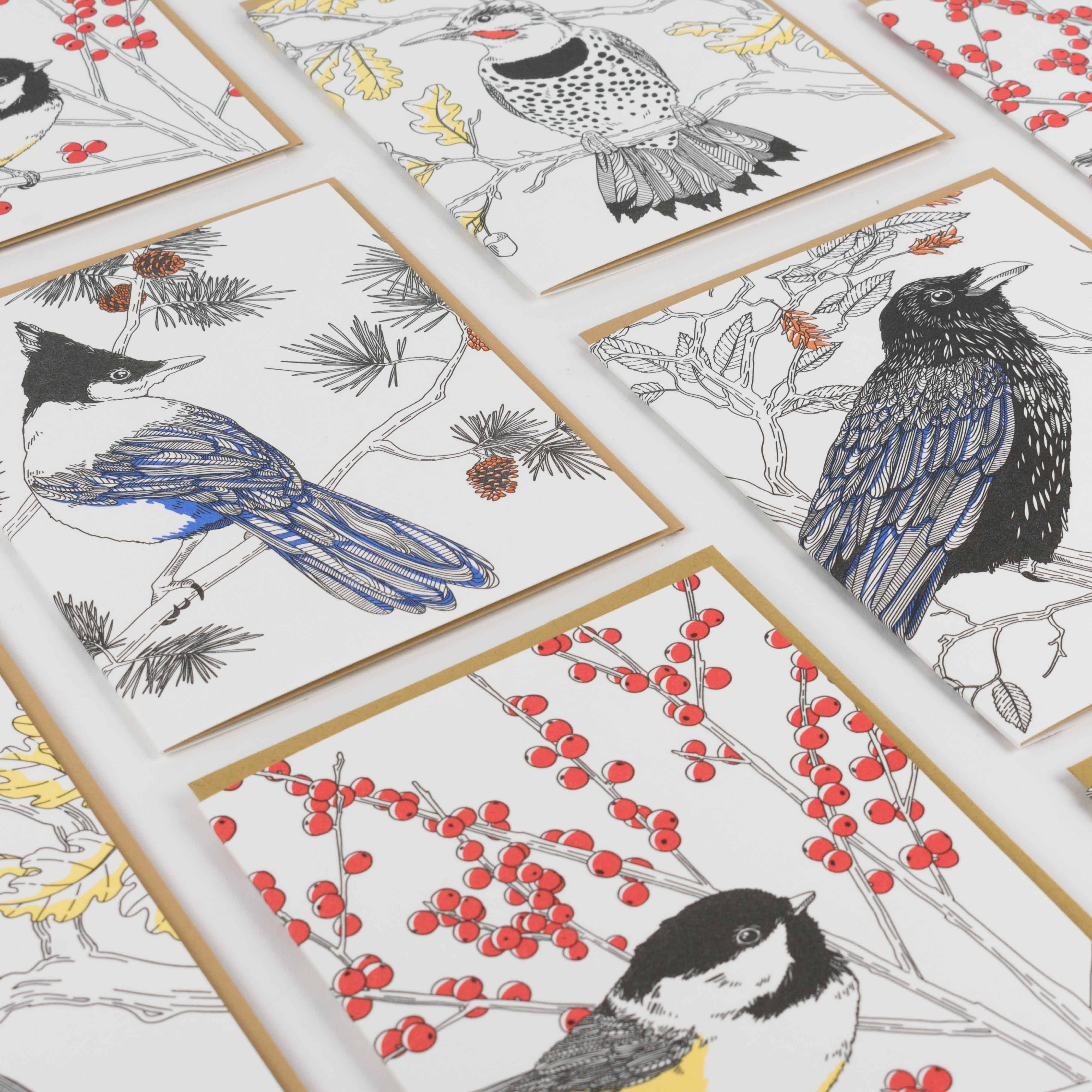 Black-capped Chickadee Card - Out of the Blue