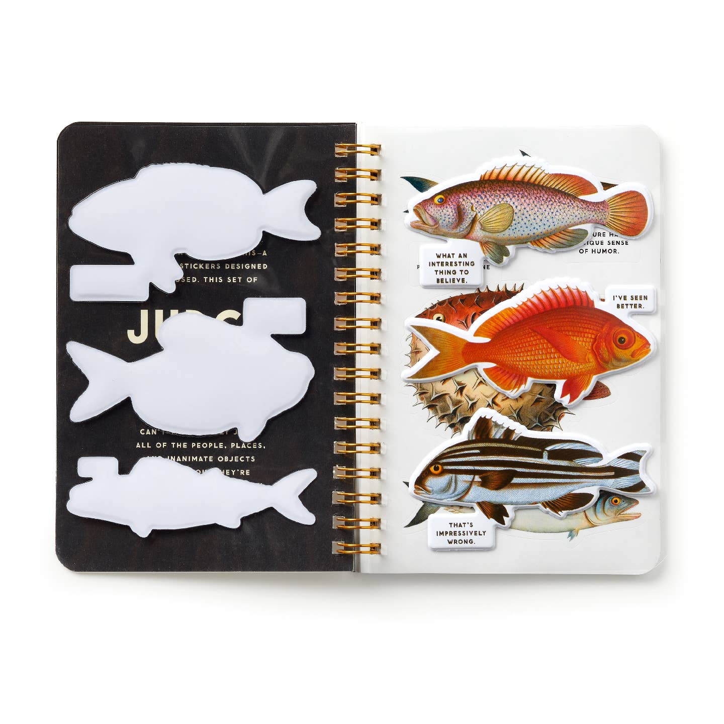 Judgy Fish Sticker Book - Out of the Blue