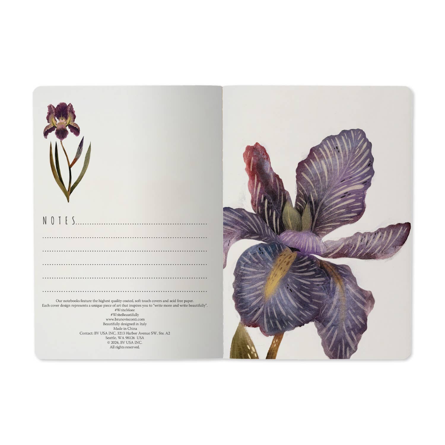 Irises - Out of the Blue