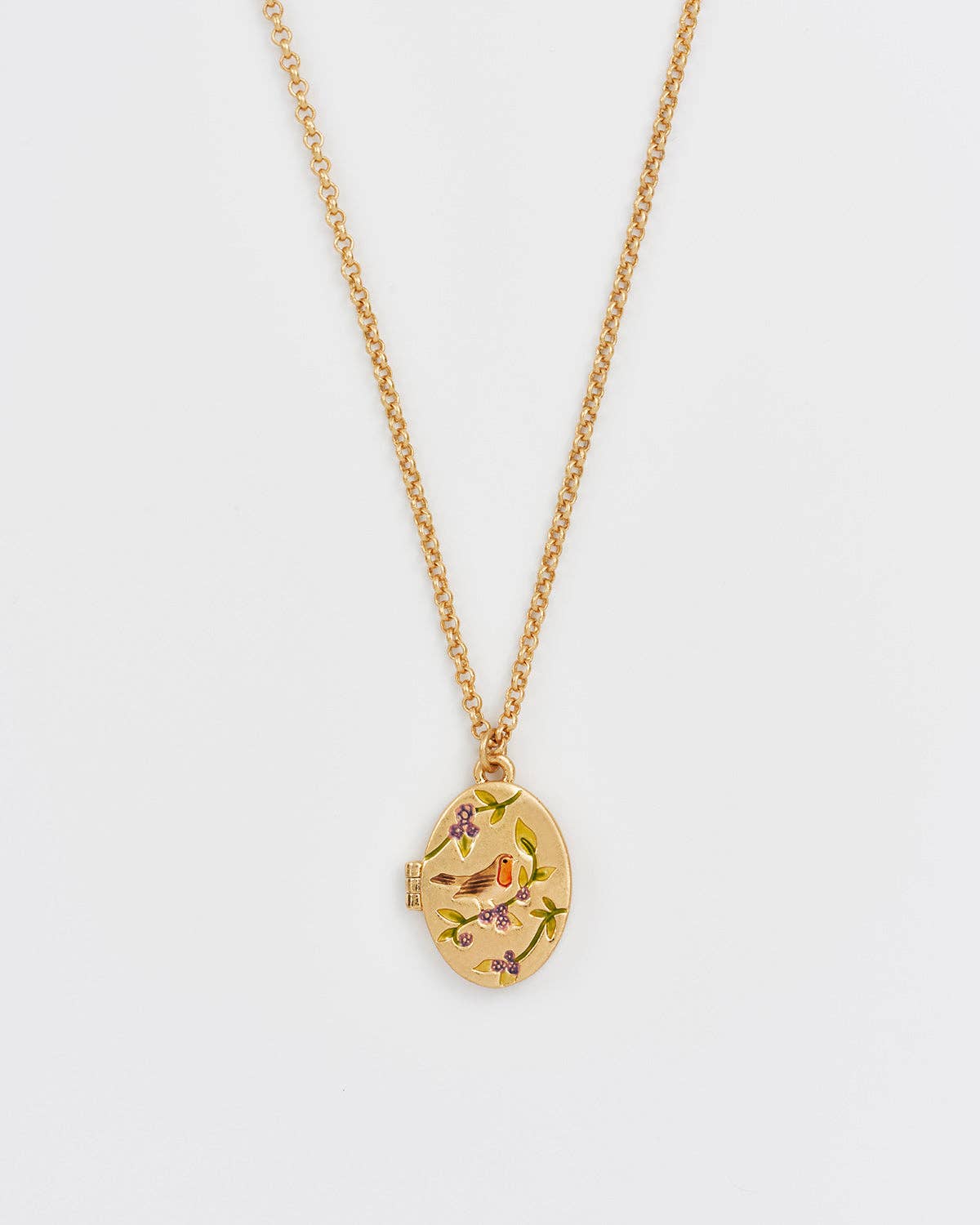 Robin & Blackberry Gold Oval Locket Chain Necklace - Out of the Blue
