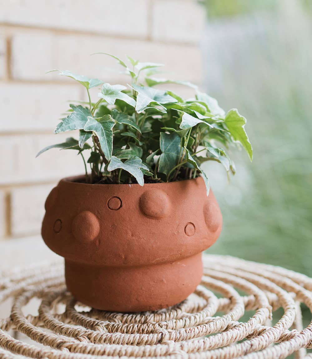 Mushroom Plant Pot - Out of the Blue