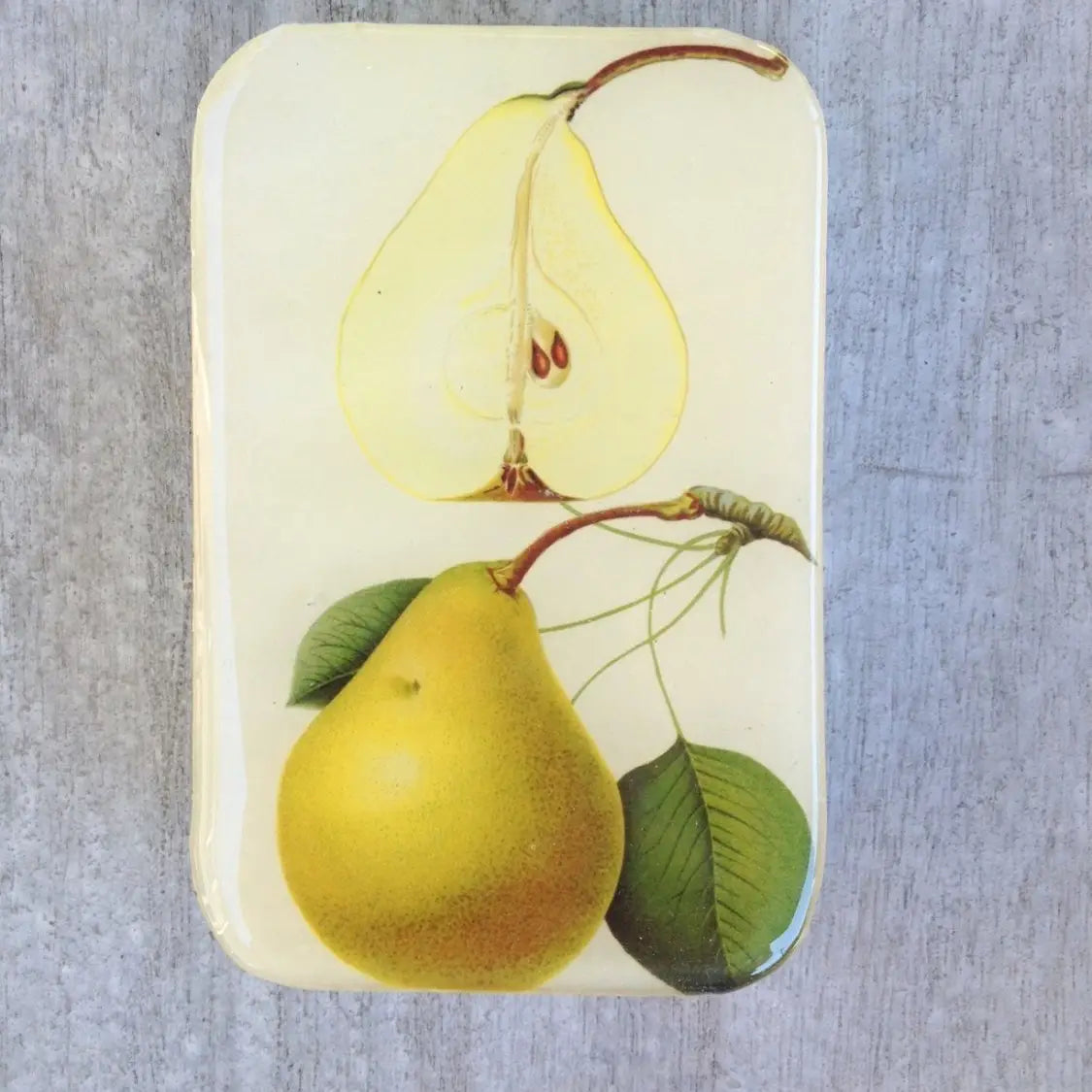 Pear Notions Tin - Out of the Blue