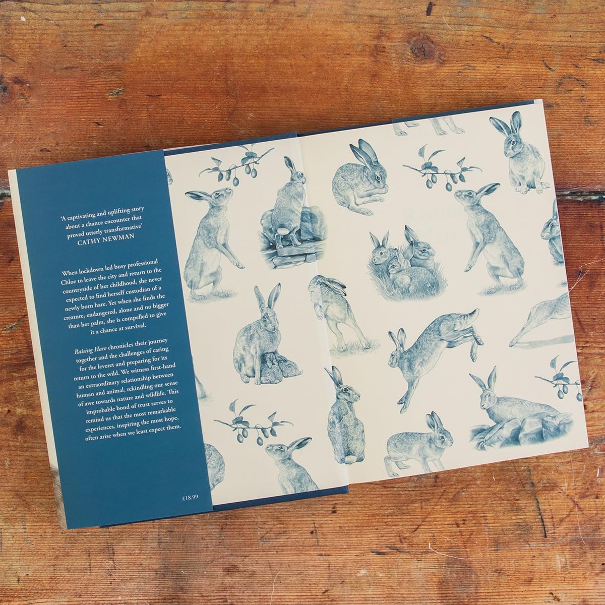 Raising Hare - Out of the Blue