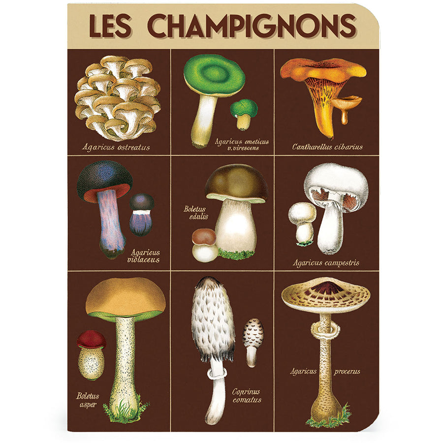 BOTANY NOTEBOOK 3-PACK