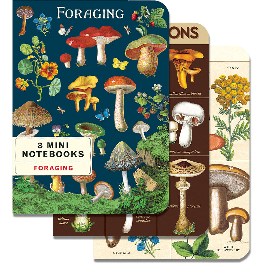BOTANY NOTEBOOK 3-PACK