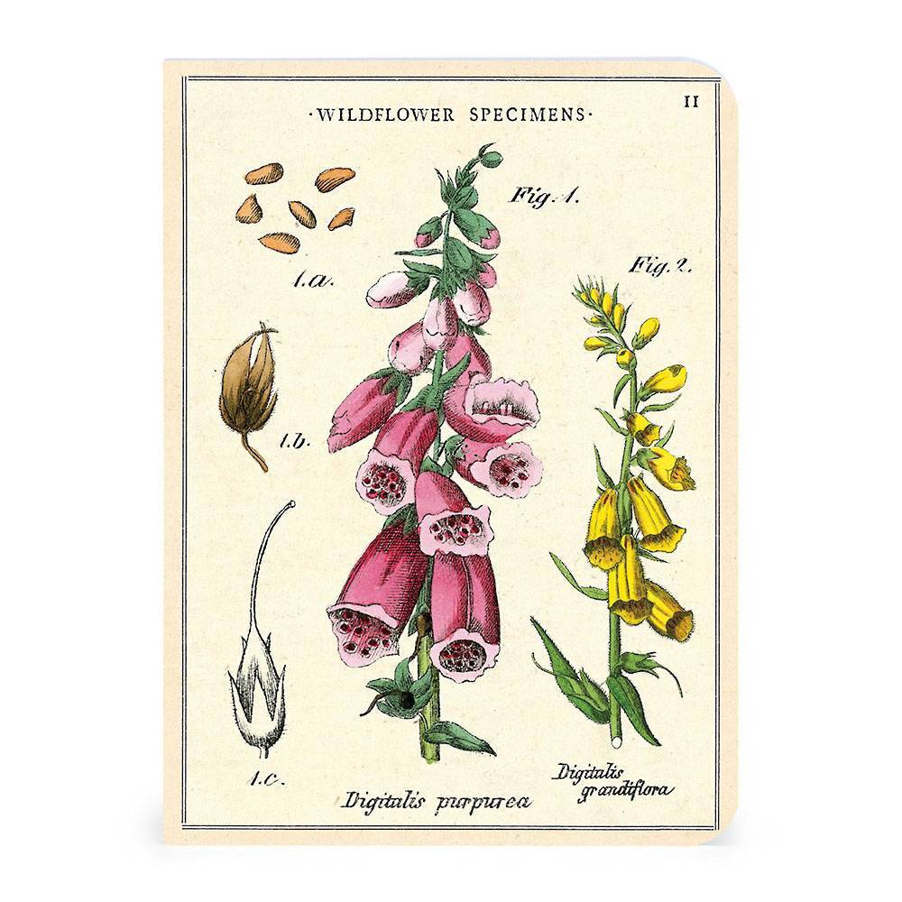 WILDFLOWERS MINI NOTEBOOK 3-PACK - Out of the Blue