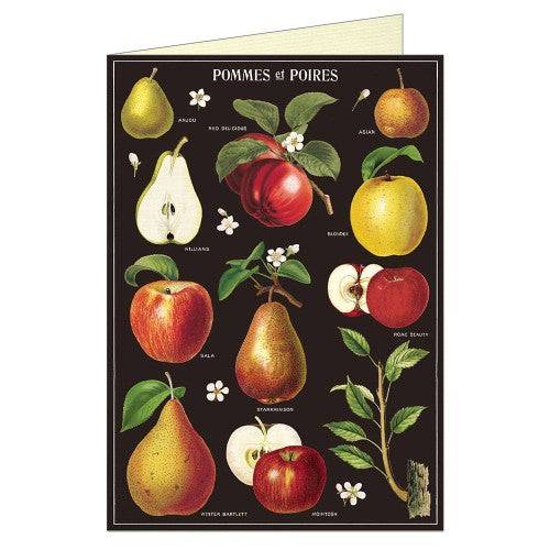 APPLES AND PEARS BLANK GREETING CARD - Out of the Blue