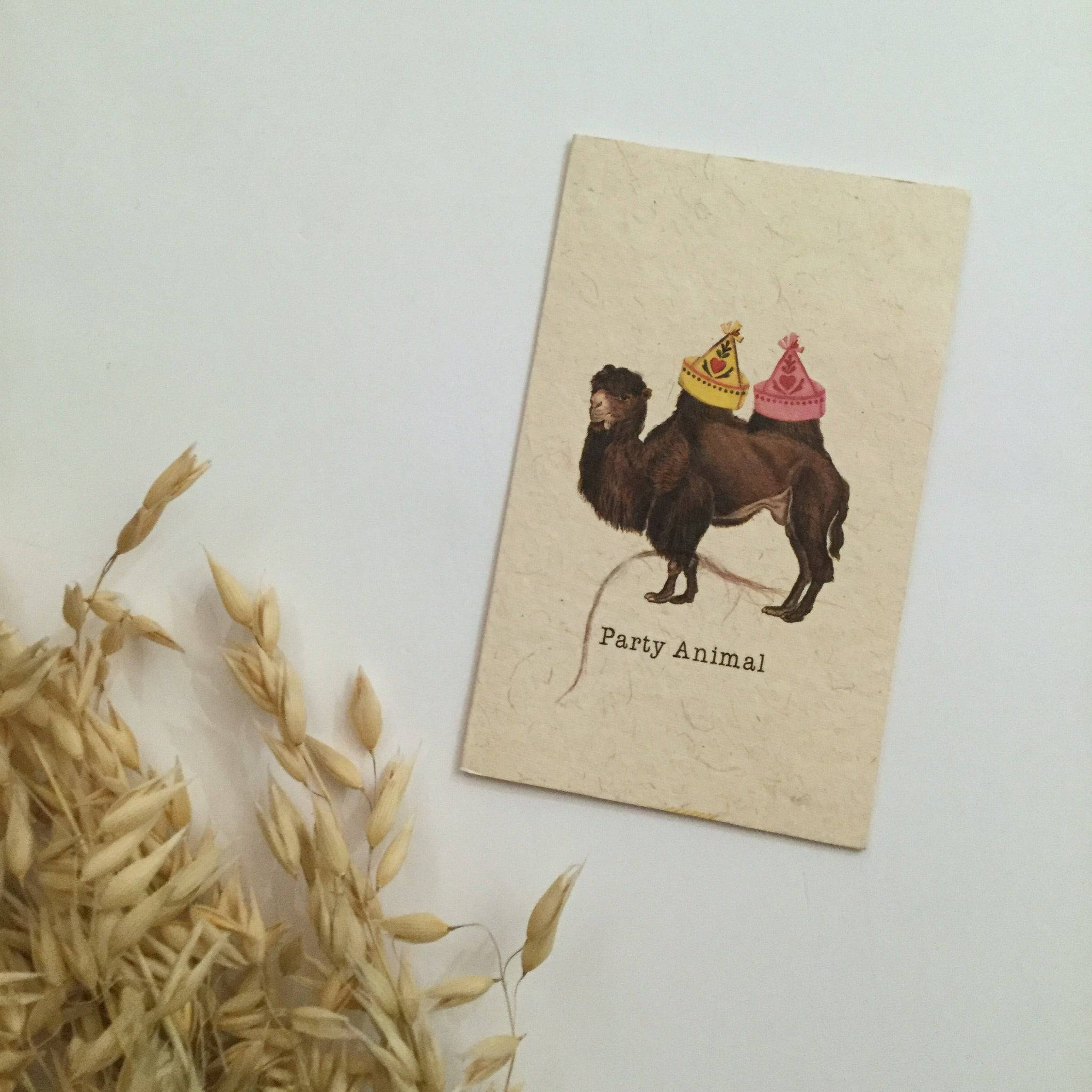 PARTY ANIMAL CARDS - Out of the Blue