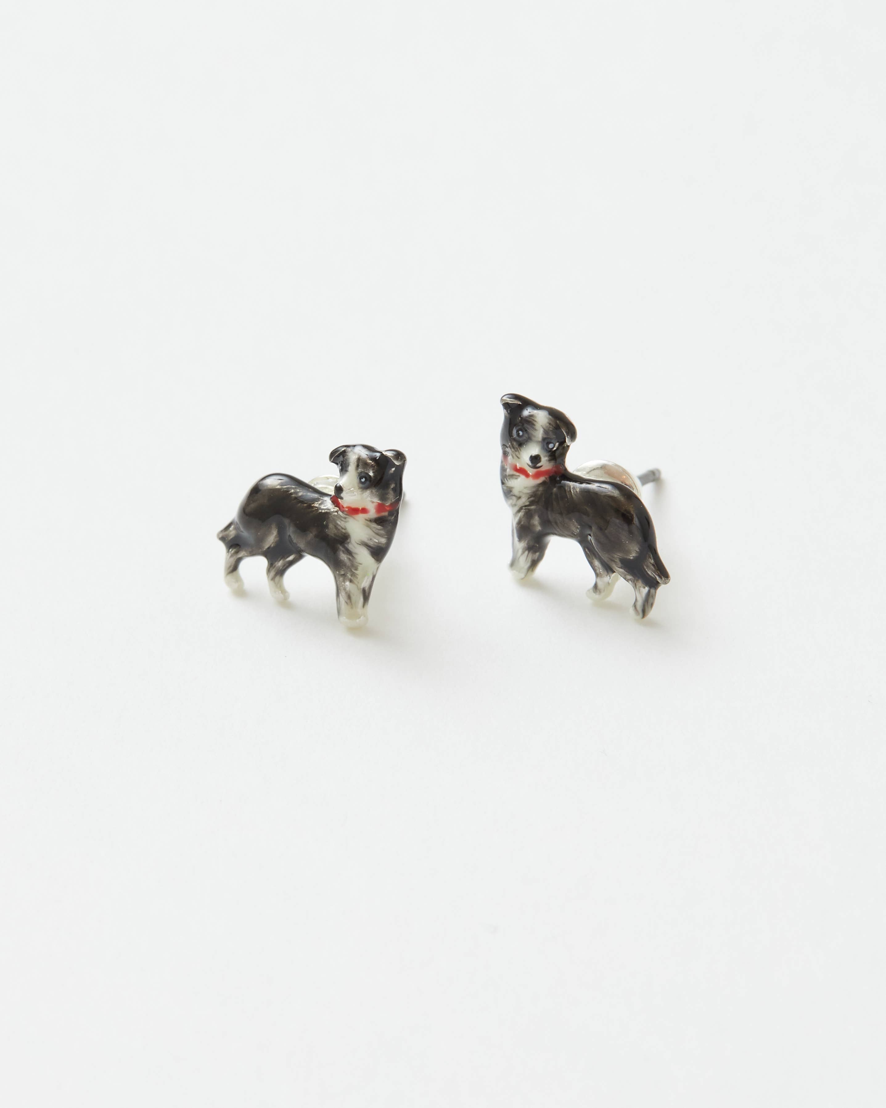Collie Dog Studs - Out of the Blue