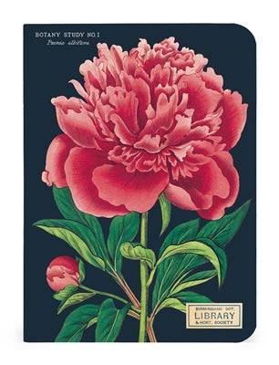 BOTANY NOTEBOOK 3-PACK - Out of the Blue