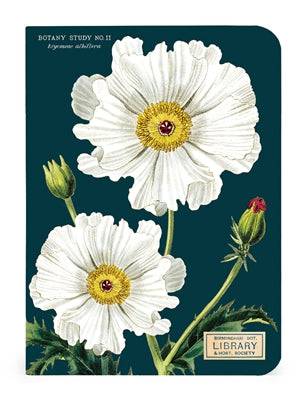 BOTANY NOTEBOOK 3-PACK - Out of the Blue