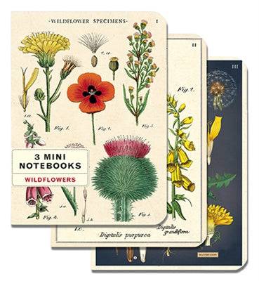 WILDFLOWERS MINI NOTEBOOK 3-PACK - Out of the Blue