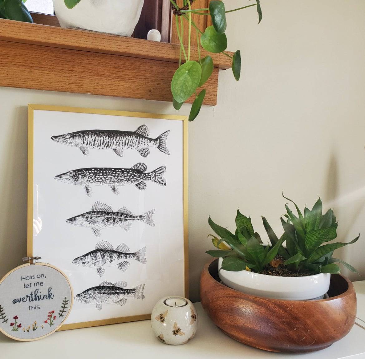 FRESHWATER FISH PRINT 12X16 - Out of the Blue