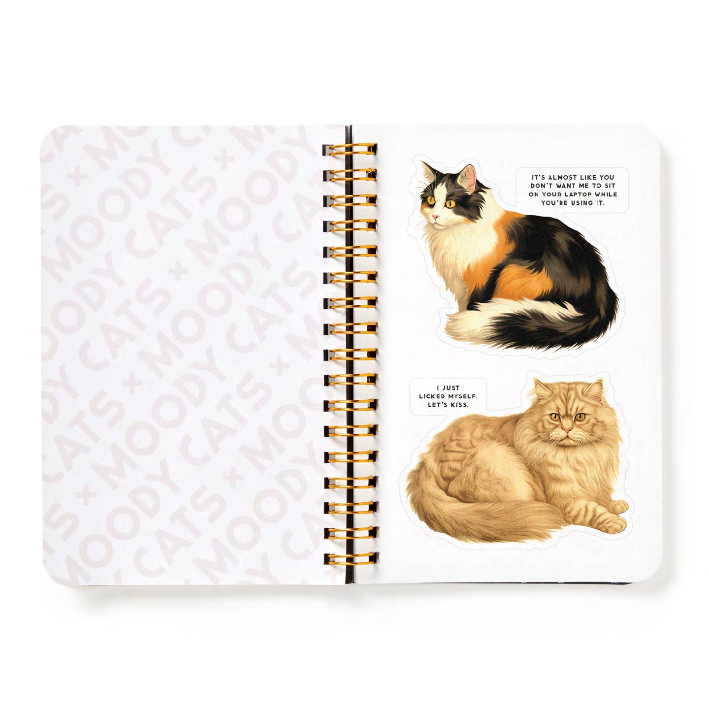 Moody Cats Sticker Book - Out of the Blue