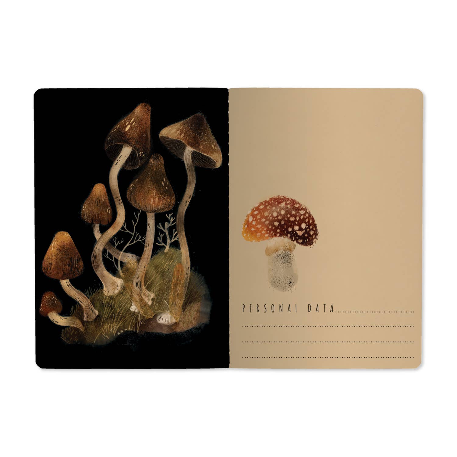 Forest Mushrooms - Out of the Blue