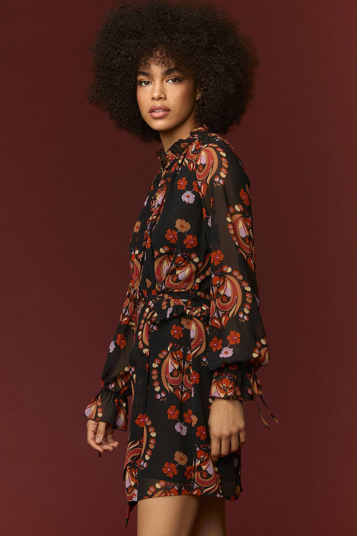 OXFORD DRESS