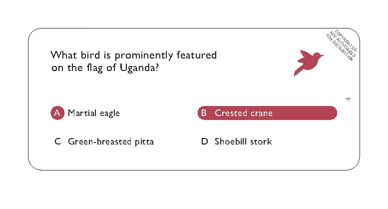 Bird Trivia