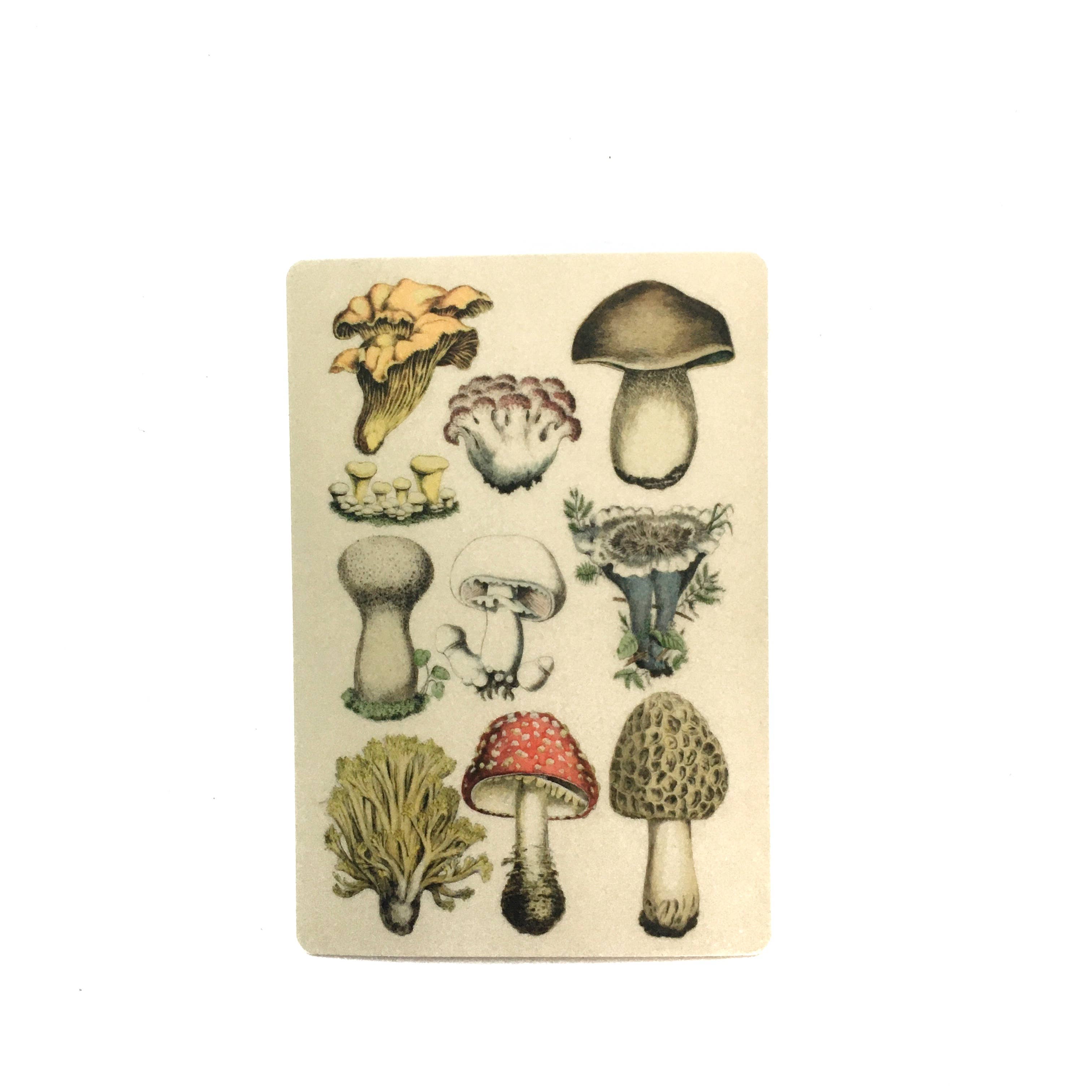 Mushrooms Sticker - Vintage Stickers