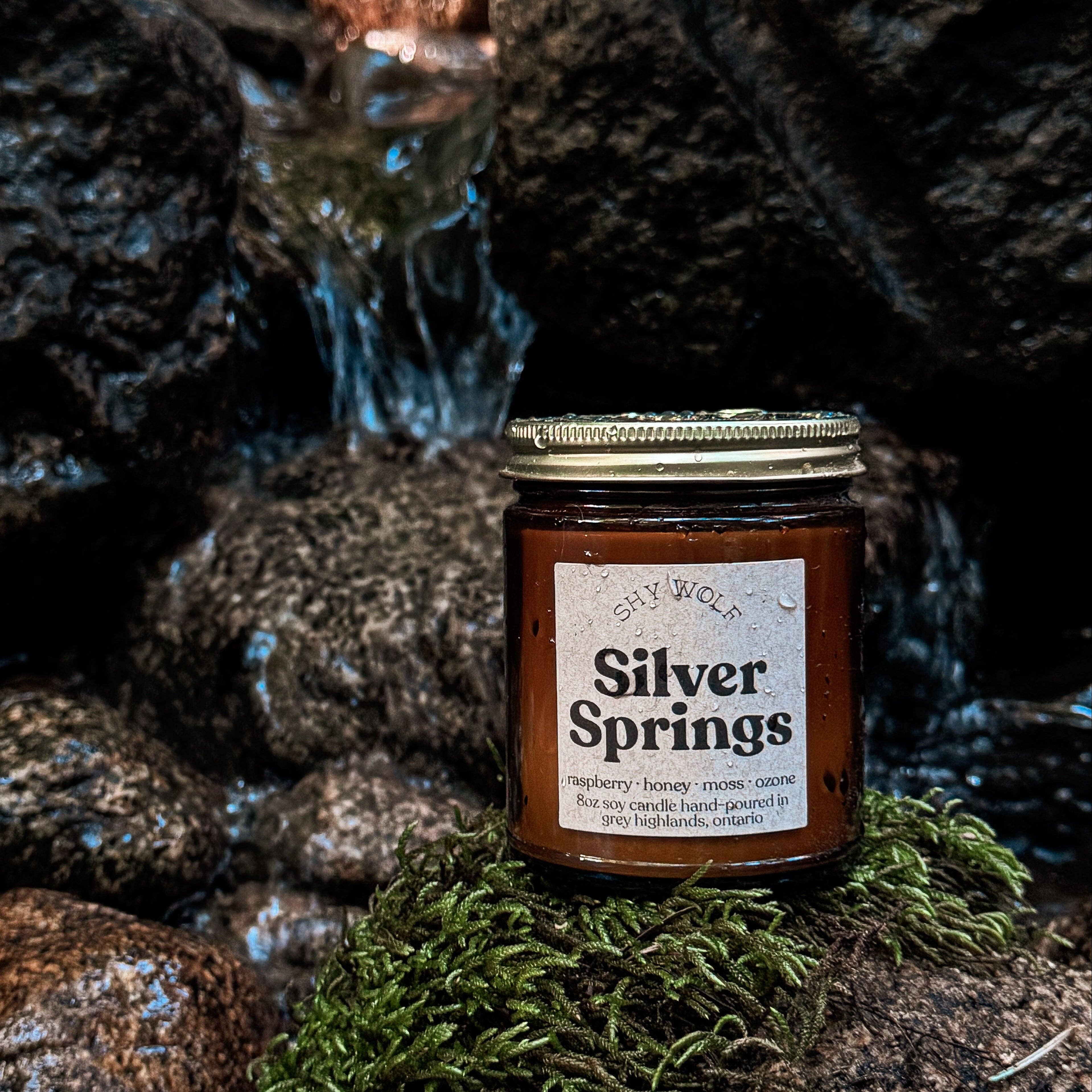 Silver Springs
