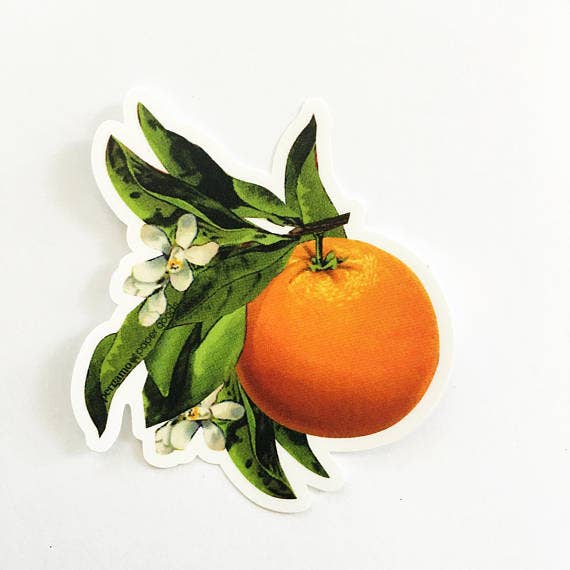 Orange Blossom Vintage Sticker - Out of the Blue