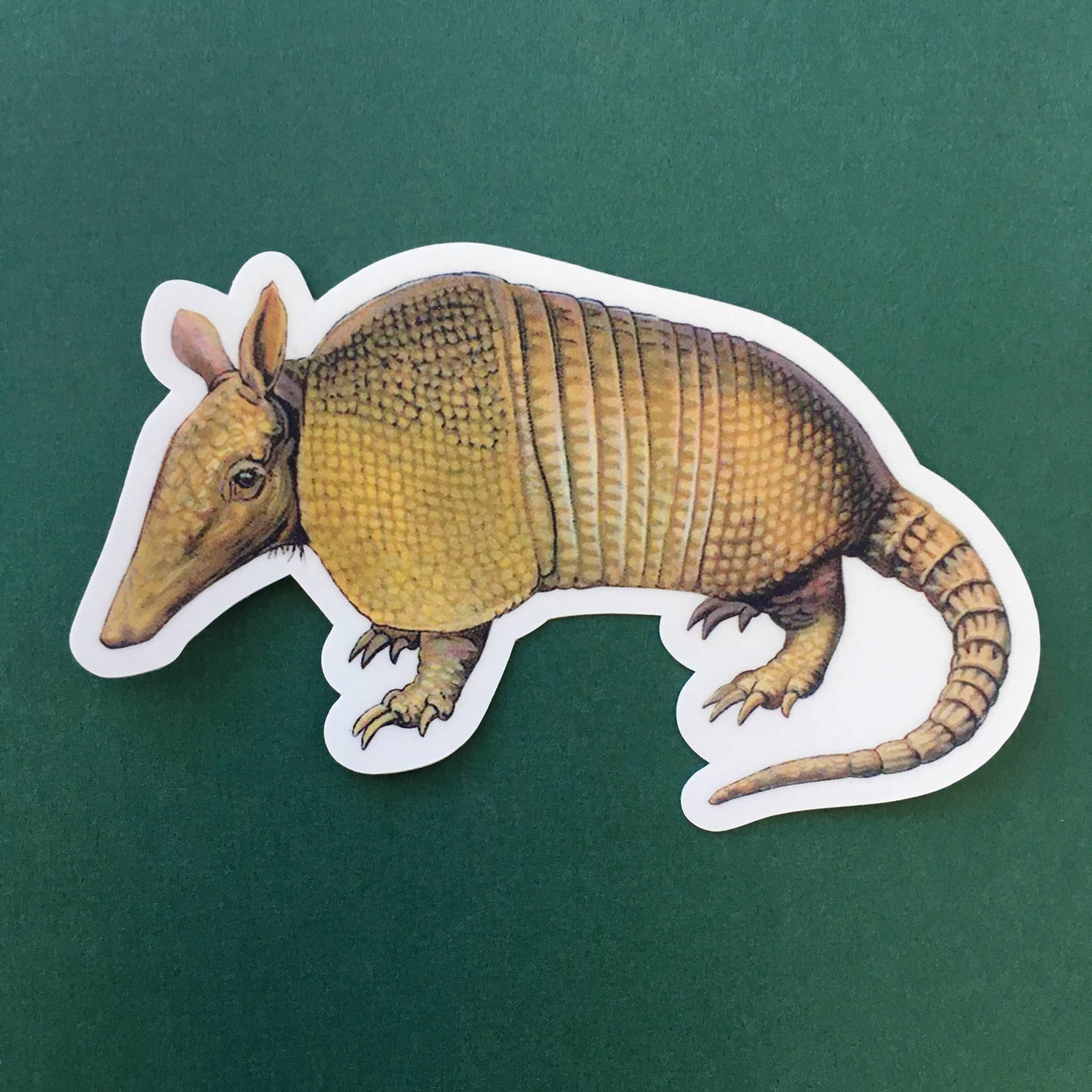 Vintage Armadillo Sticker - Out of the Blue