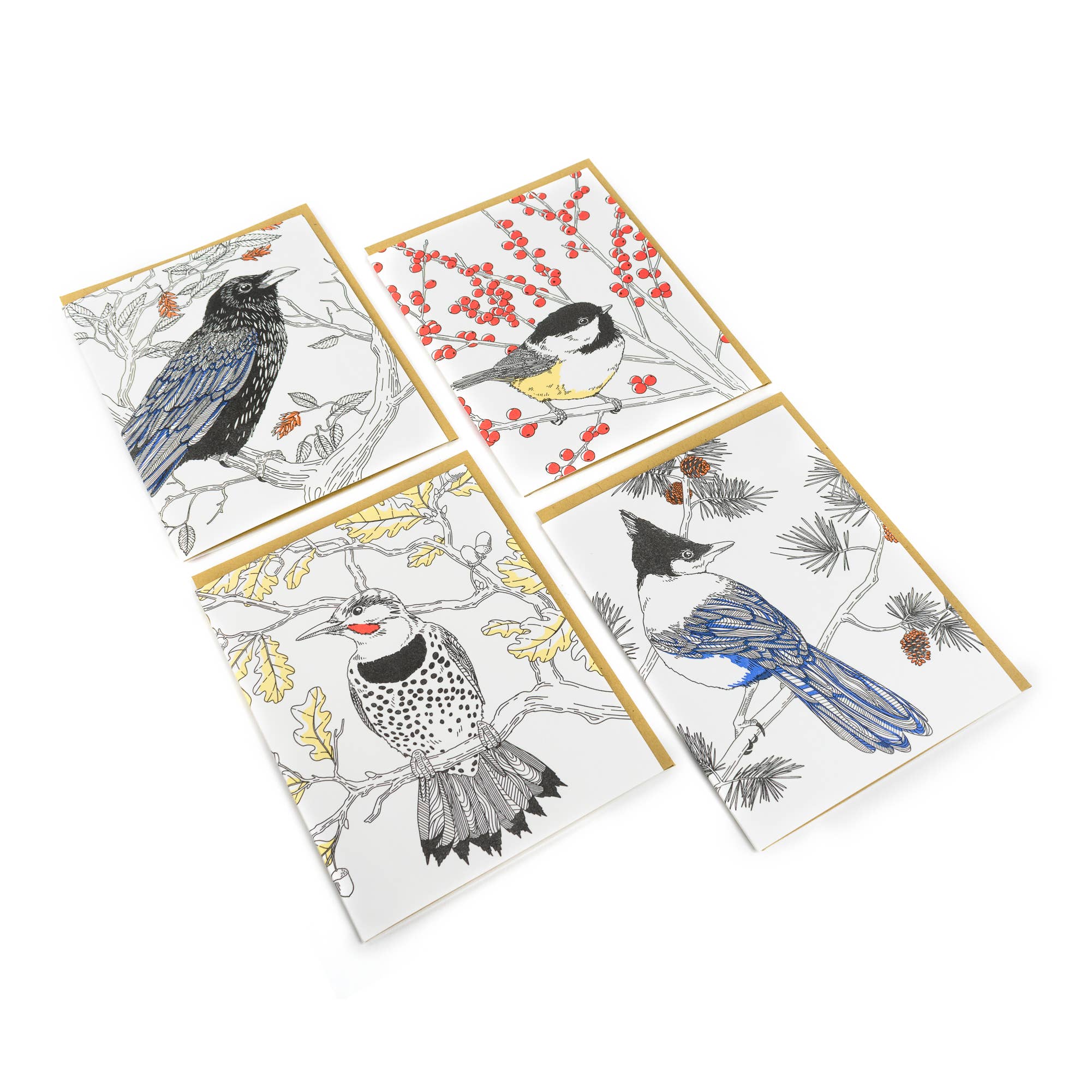 Black-capped Chickadee Card - Out of the Blue