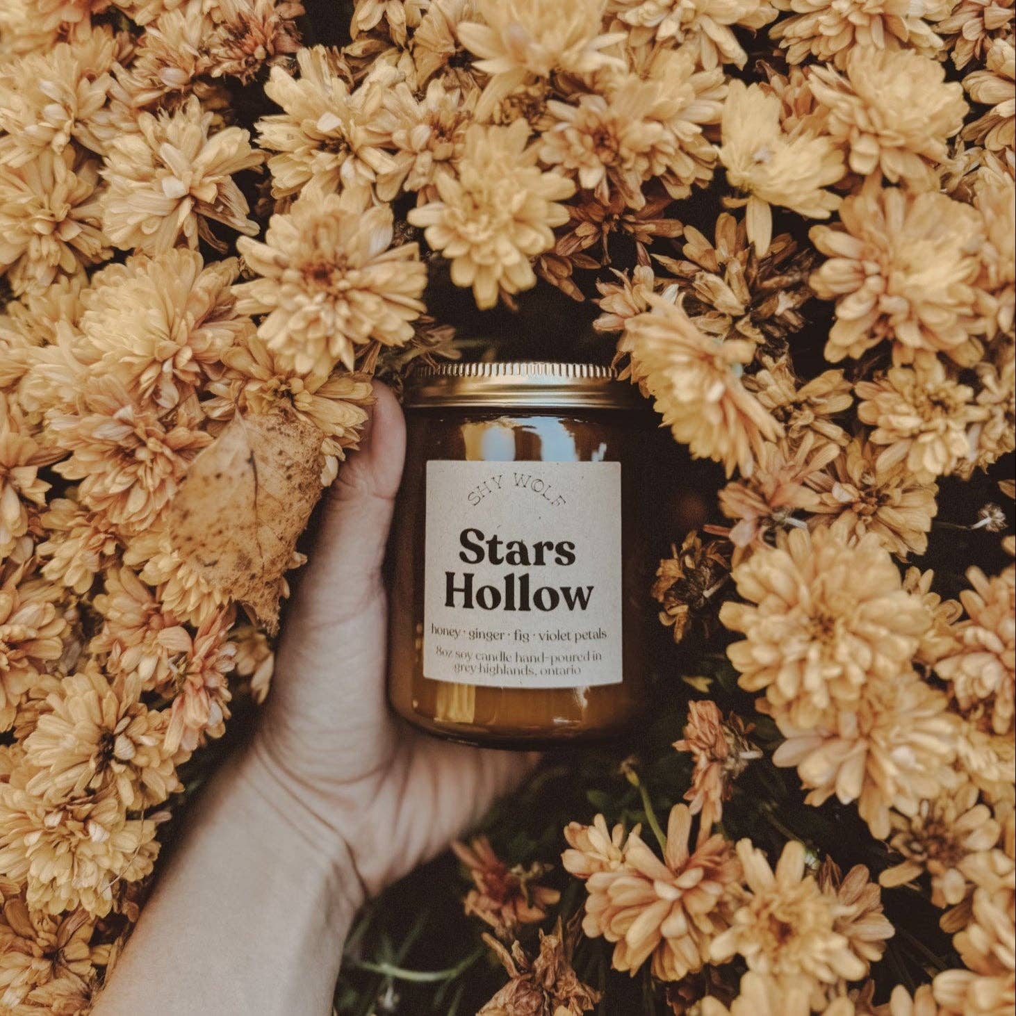 Stars Hollow Candle - Out of the Blue