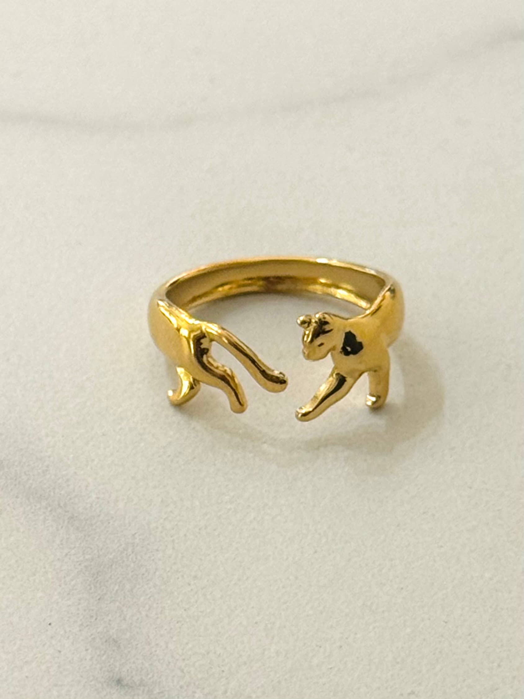 The Cat Tour Ring   - Out of the Blue