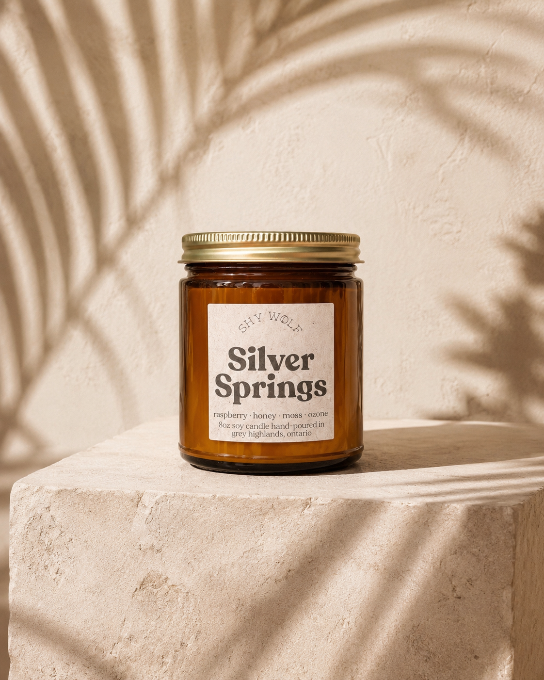 Silver Springs