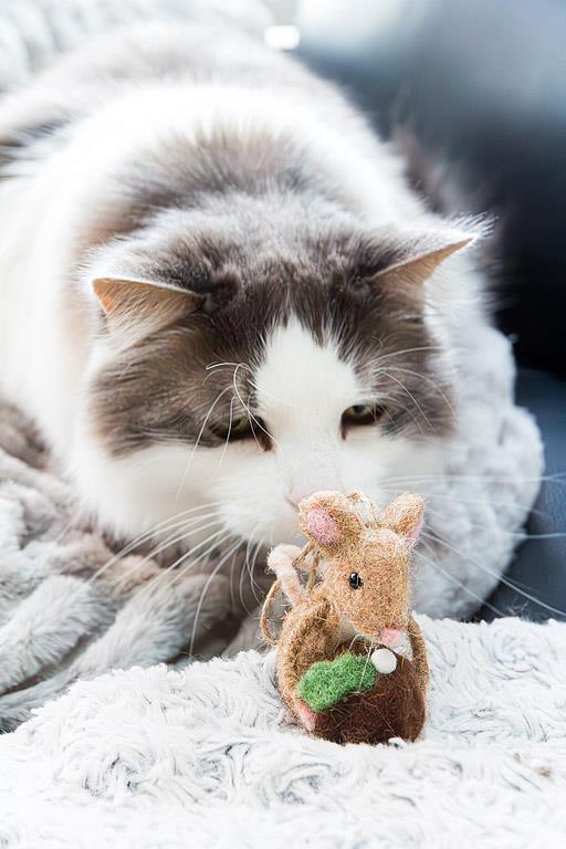 Mouse with Christmas Pudding