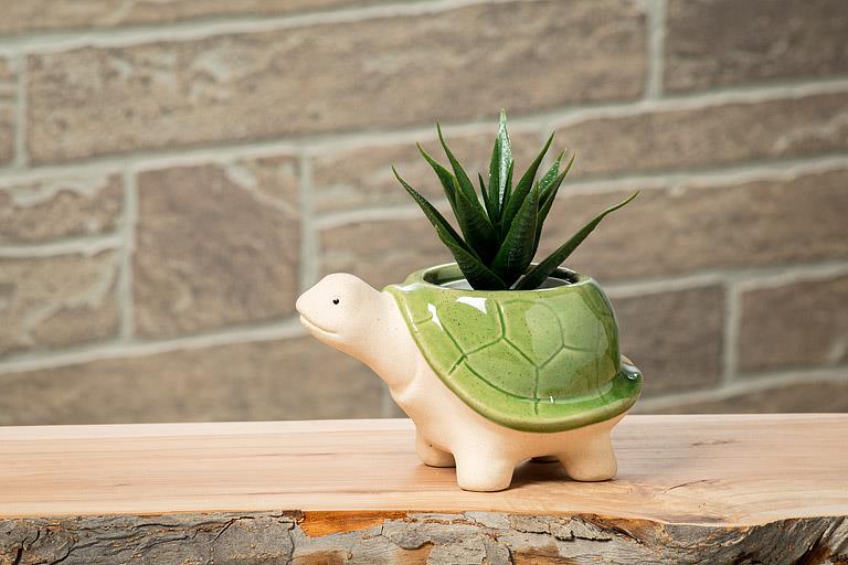 Small Turtle Planter - Out of the Blue