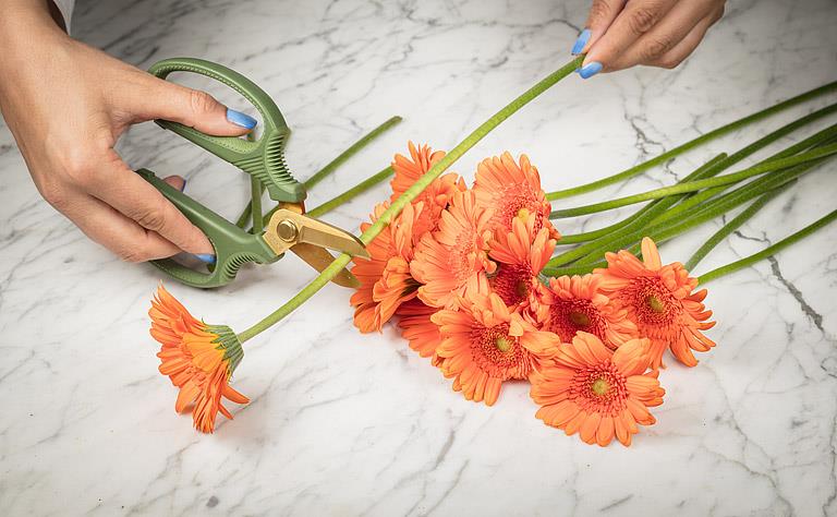 Short Blade Floral Snips - Out of the Blue