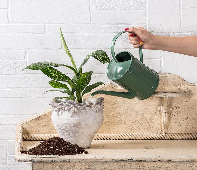 Mushroom Edged Planter - Out of the Blue