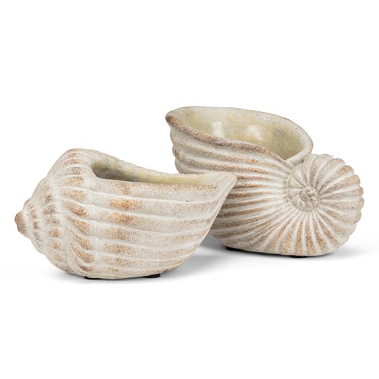 Shell Planters - Out of the Blue