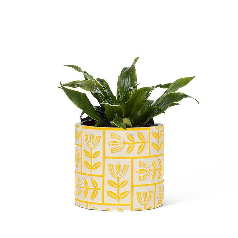 Floral Grid Planter - Out of the Blue