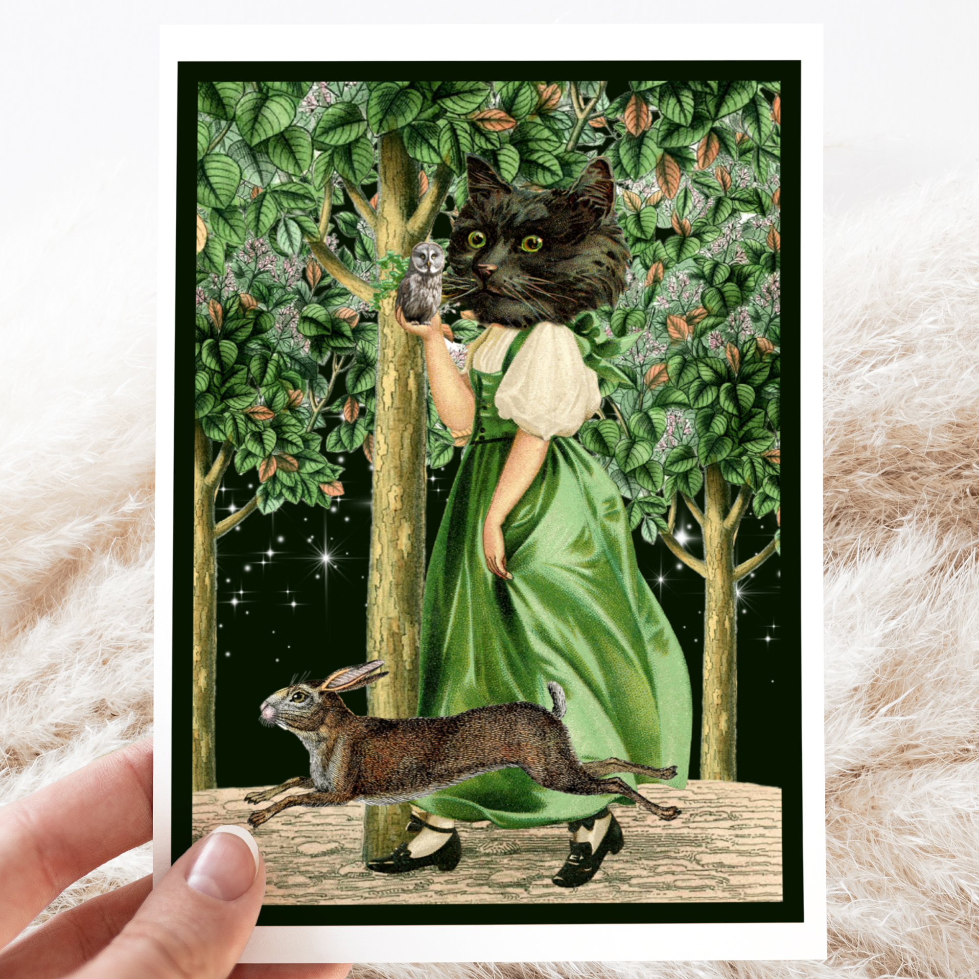 Greeting Card  Vintage Black Cat Holding Owl. - Out of the Blue