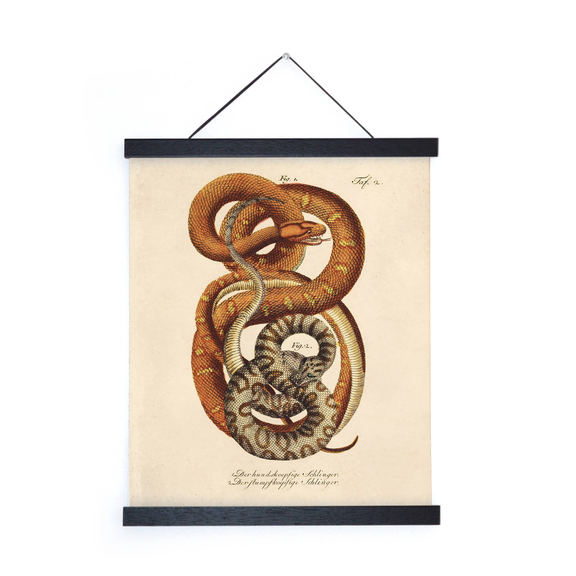 Vintage French Snake Print - Out of the Blue