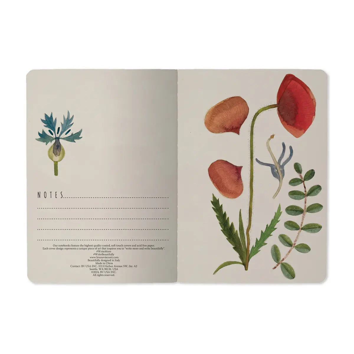 Pocket  Notebooks  - Out of the Blue