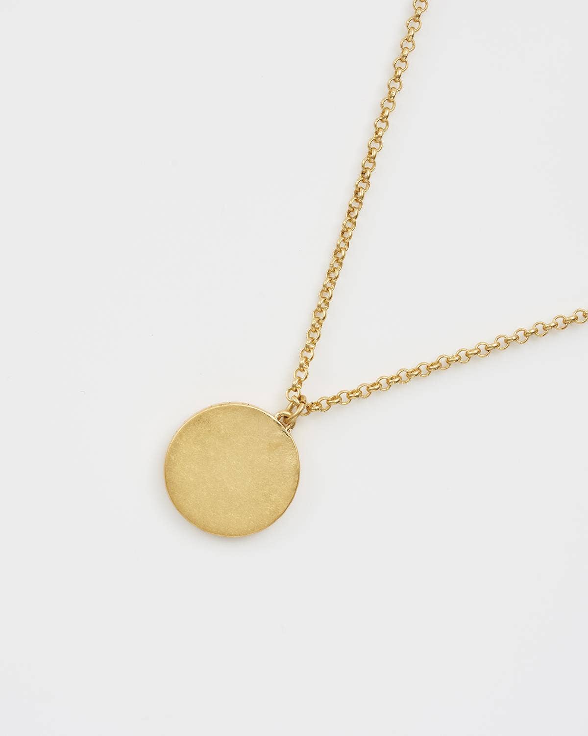 Snake Spirit Guide Necklace