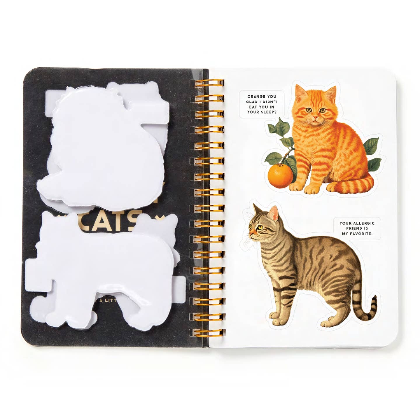 Moody Cats Sticker Book - Out of the Blue