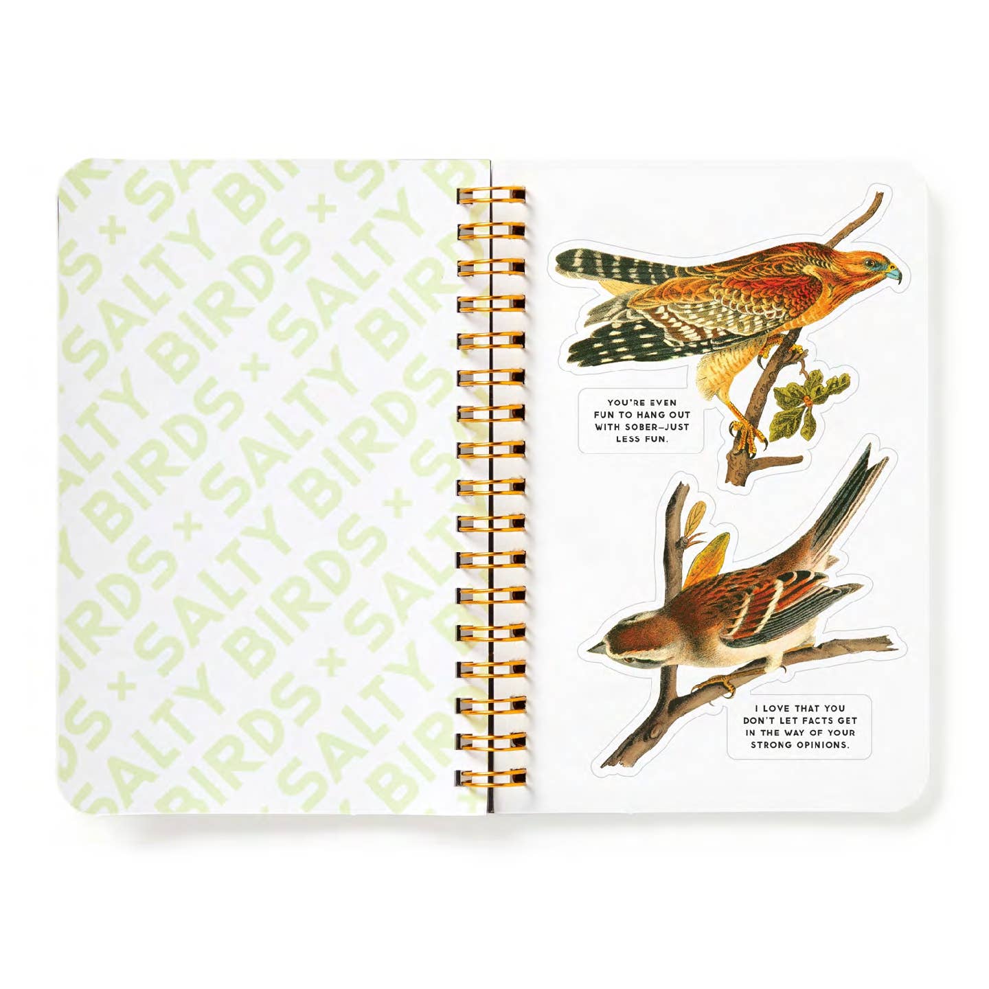 Salty Birds Sticker Book - Out of the Blue