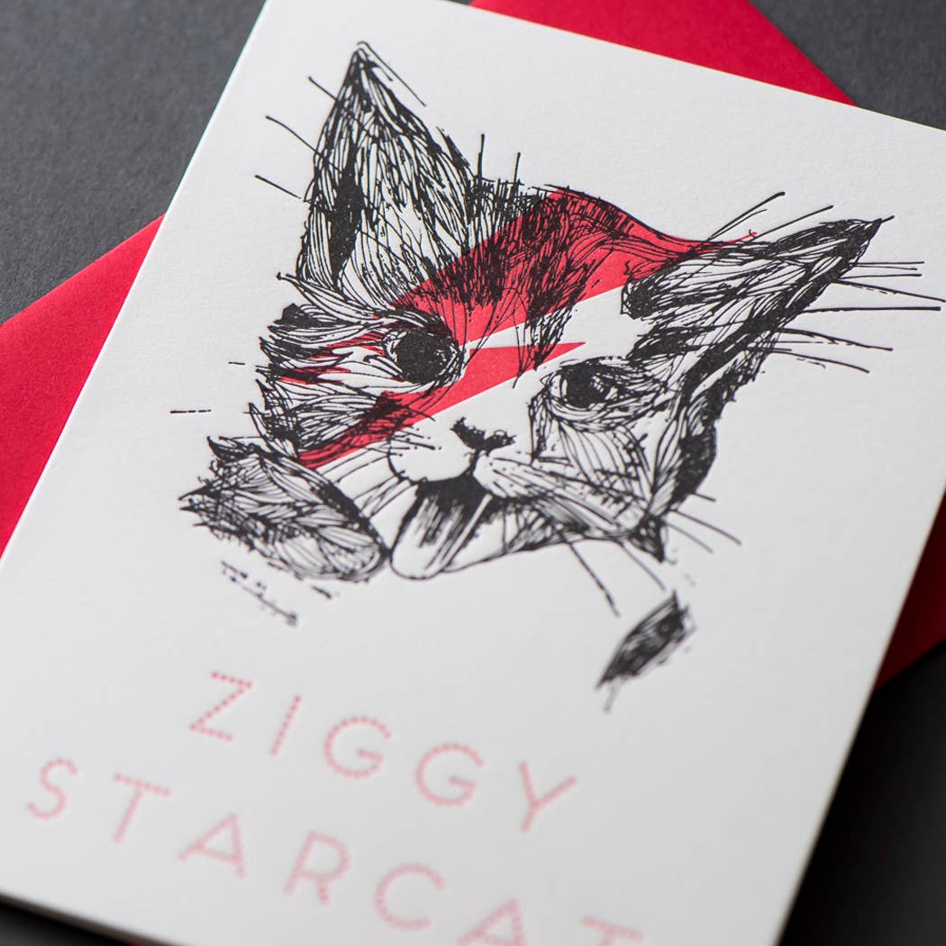 Ziggy Star Cat Card