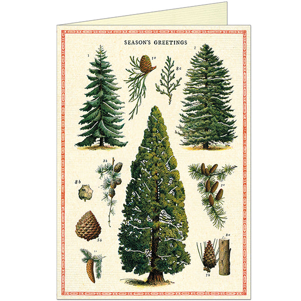 Vintage Pine Tree Card