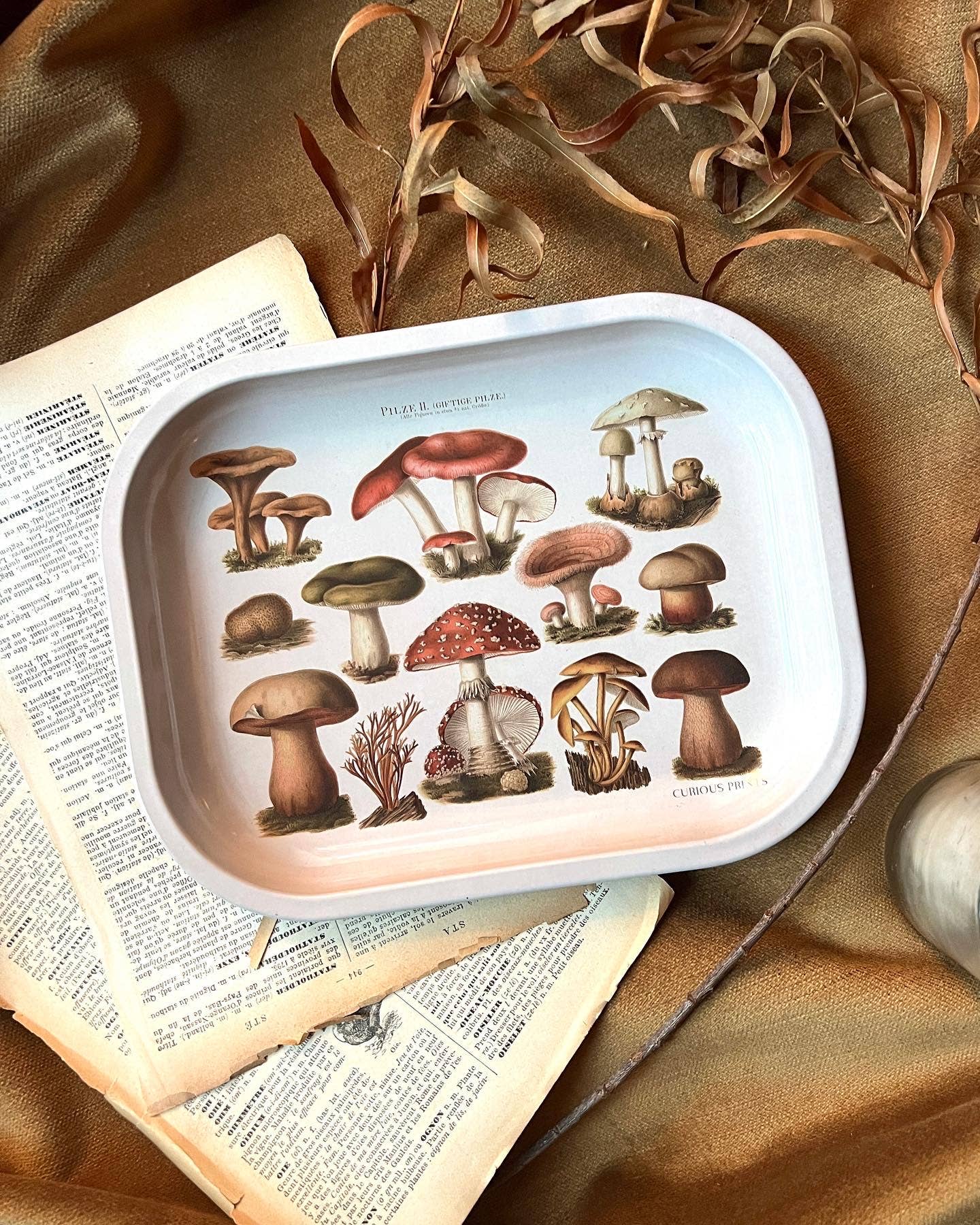Mushroom Ritual Catchall Tray - Out of the Blue