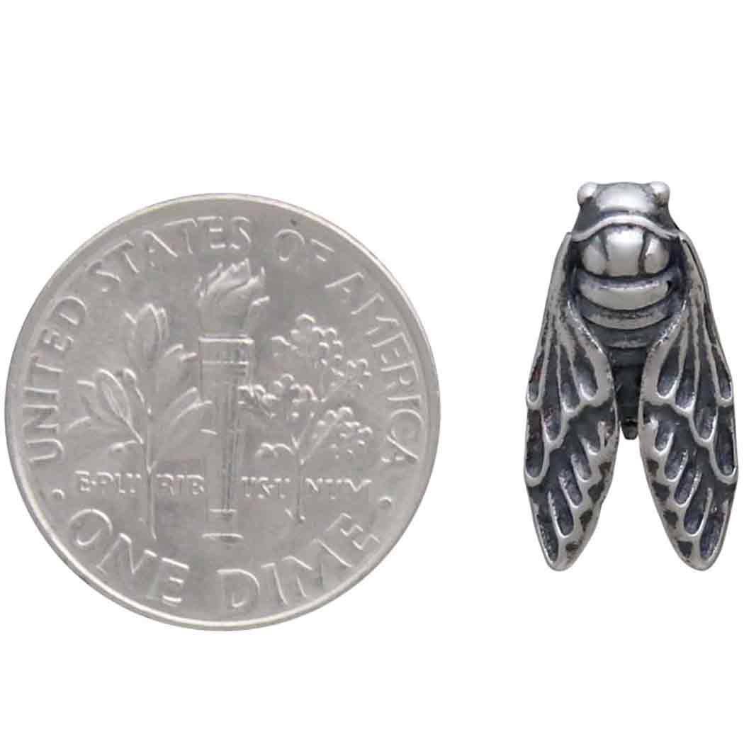 Cicada Post Earrings